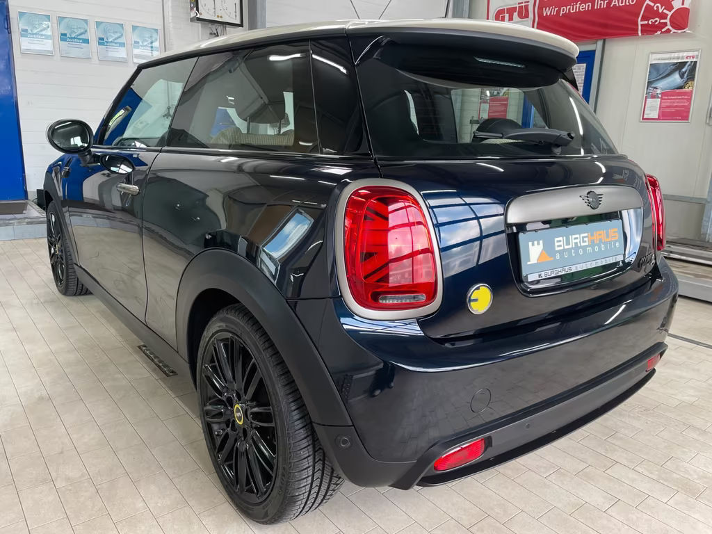 Mini Mini Electric