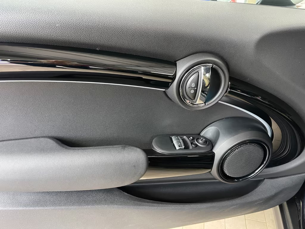 Mini Mini Electric