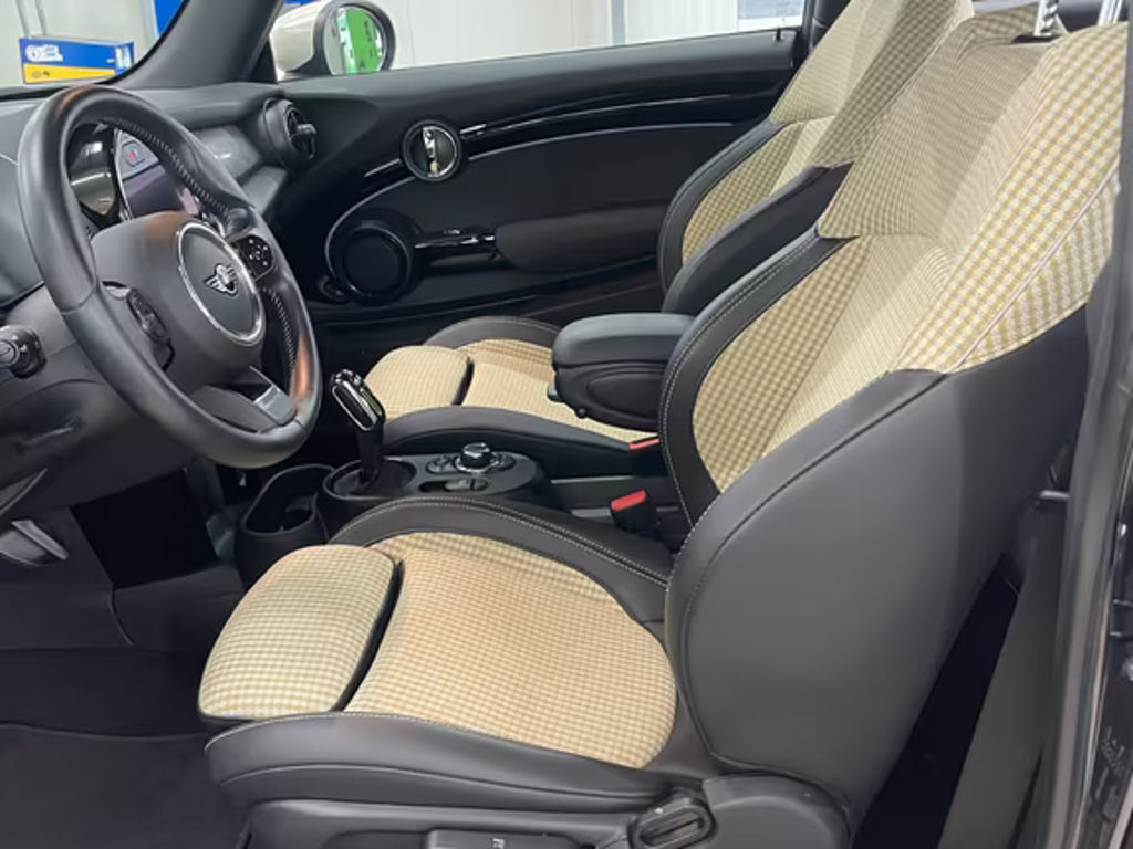 Mini Mini Electric