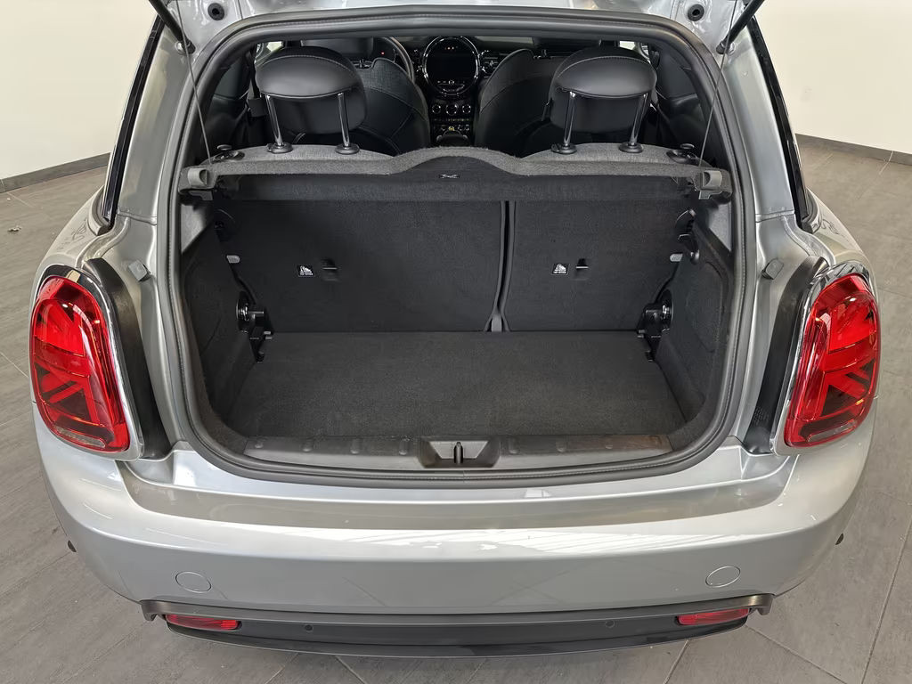 Mini Mini Electric