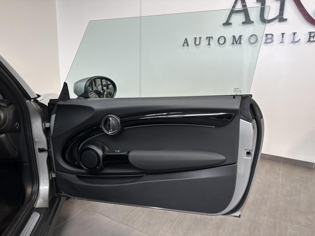 Mini Mini Electric