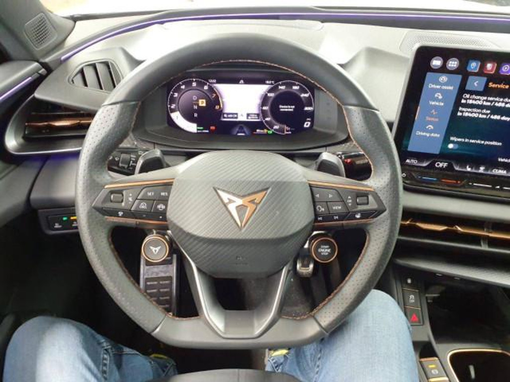 Cupra Terramar