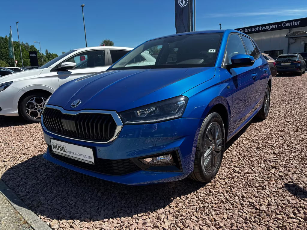 Skoda Fabia TSI "Drive" Assistenten+Kamera+Winterpaket