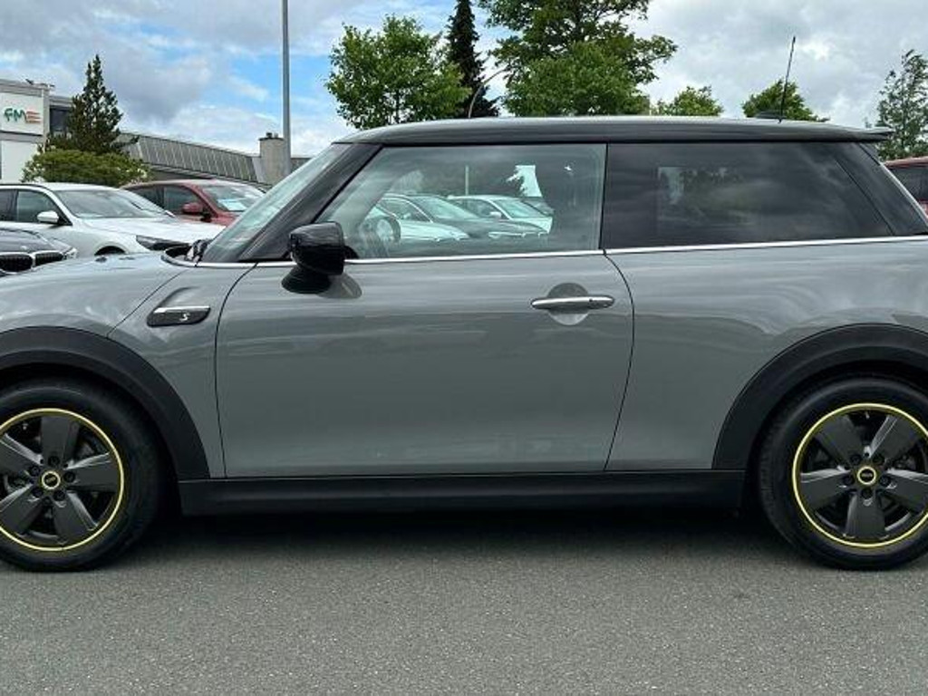 Mini Mini Electric