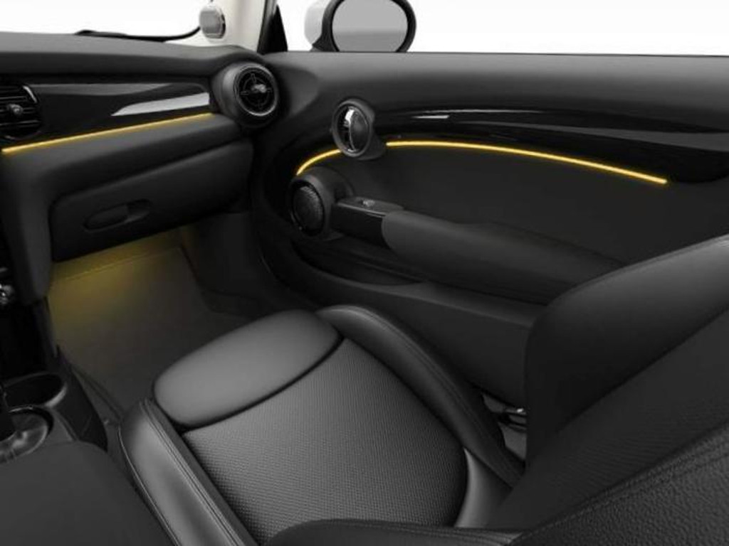 Mini Mini Electric