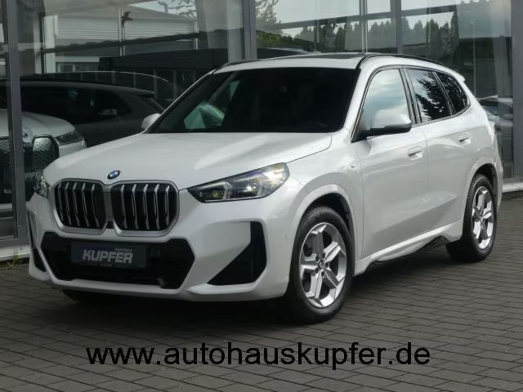 BMW X1 sDrive20iM Sport Pano°elSitz+Mass°HUP+HarmK