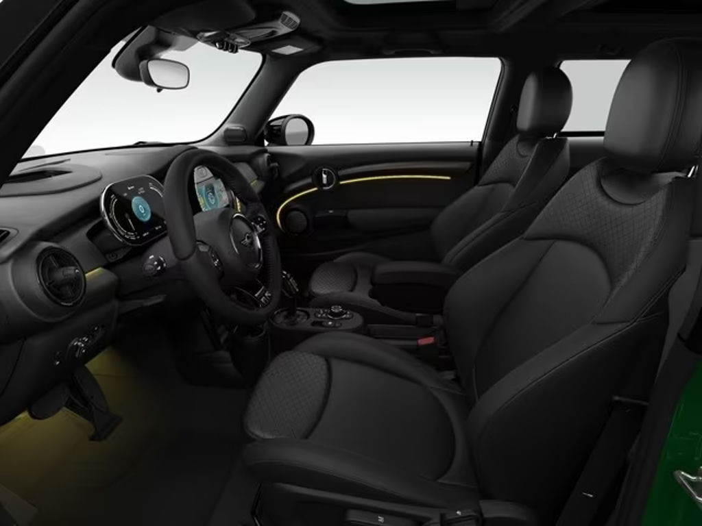 Mini Mini Electric