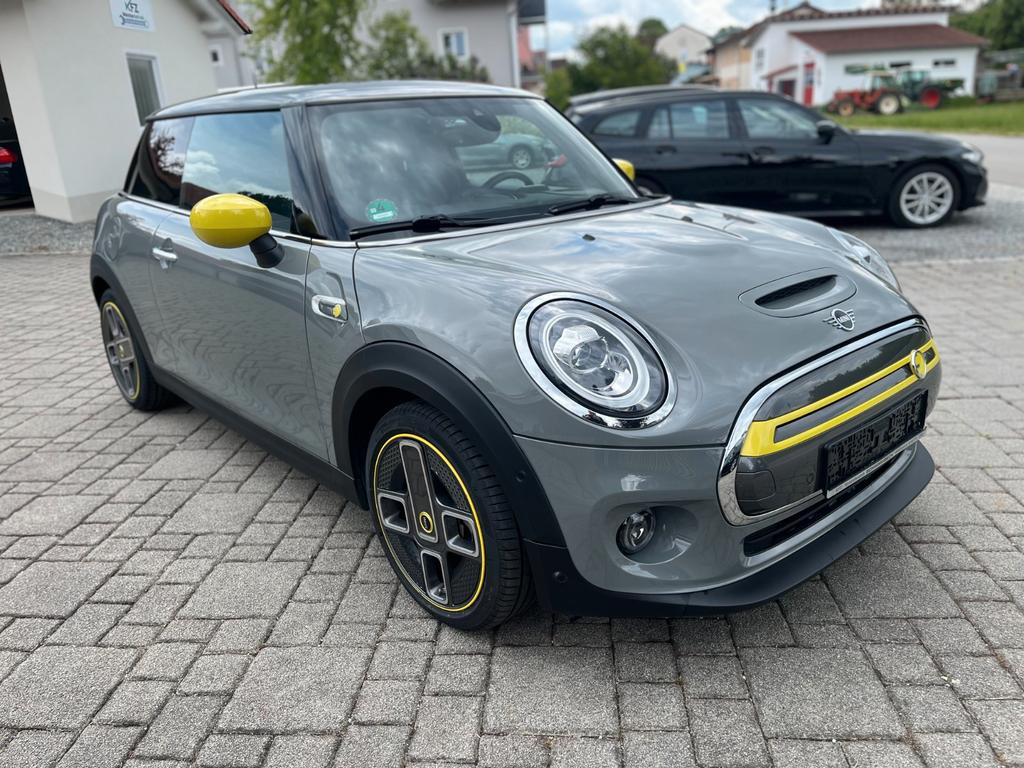 Mini Mini Electric