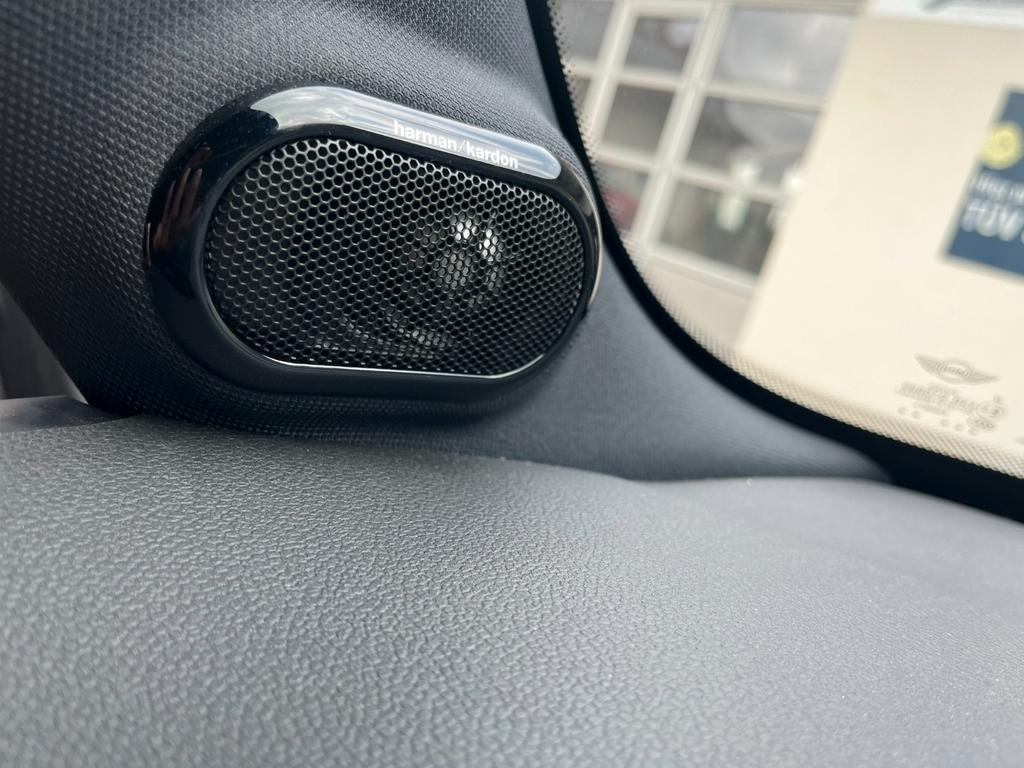 Mini Mini Electric