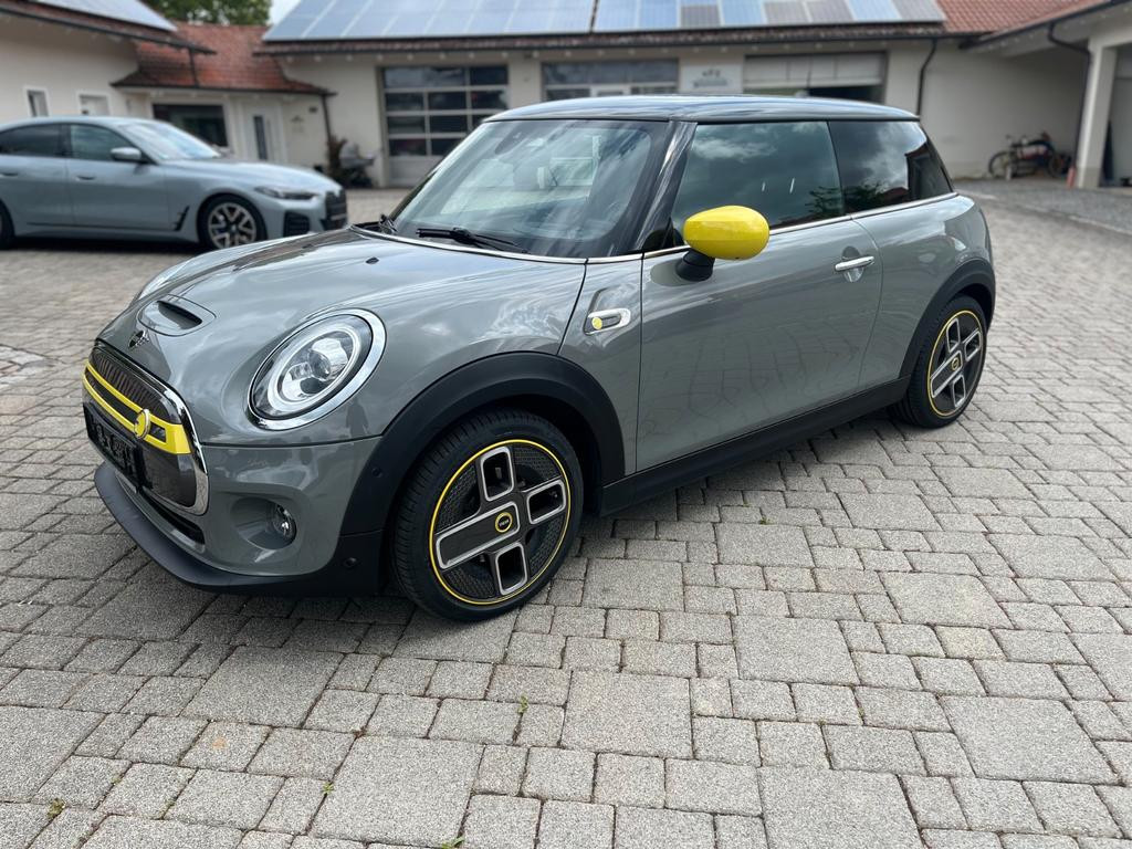 Mini Mini Electric