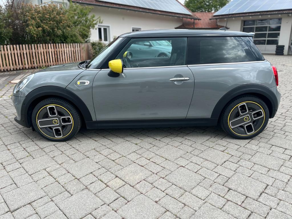 Mini Mini Electric