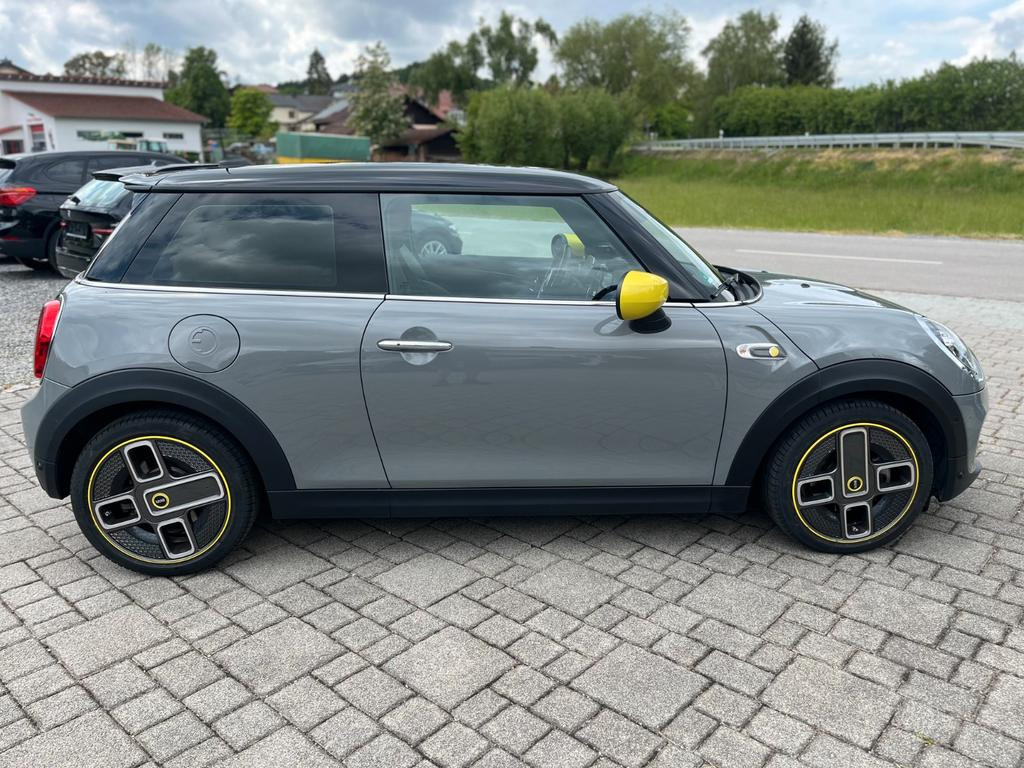 Mini Mini Electric
