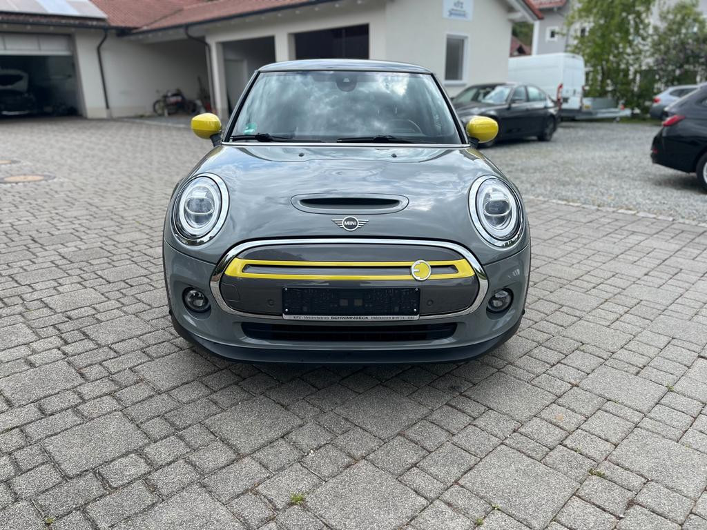 Mini Mini Electric