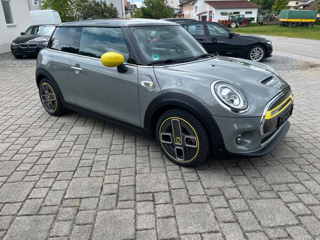 Mini Mini Electric