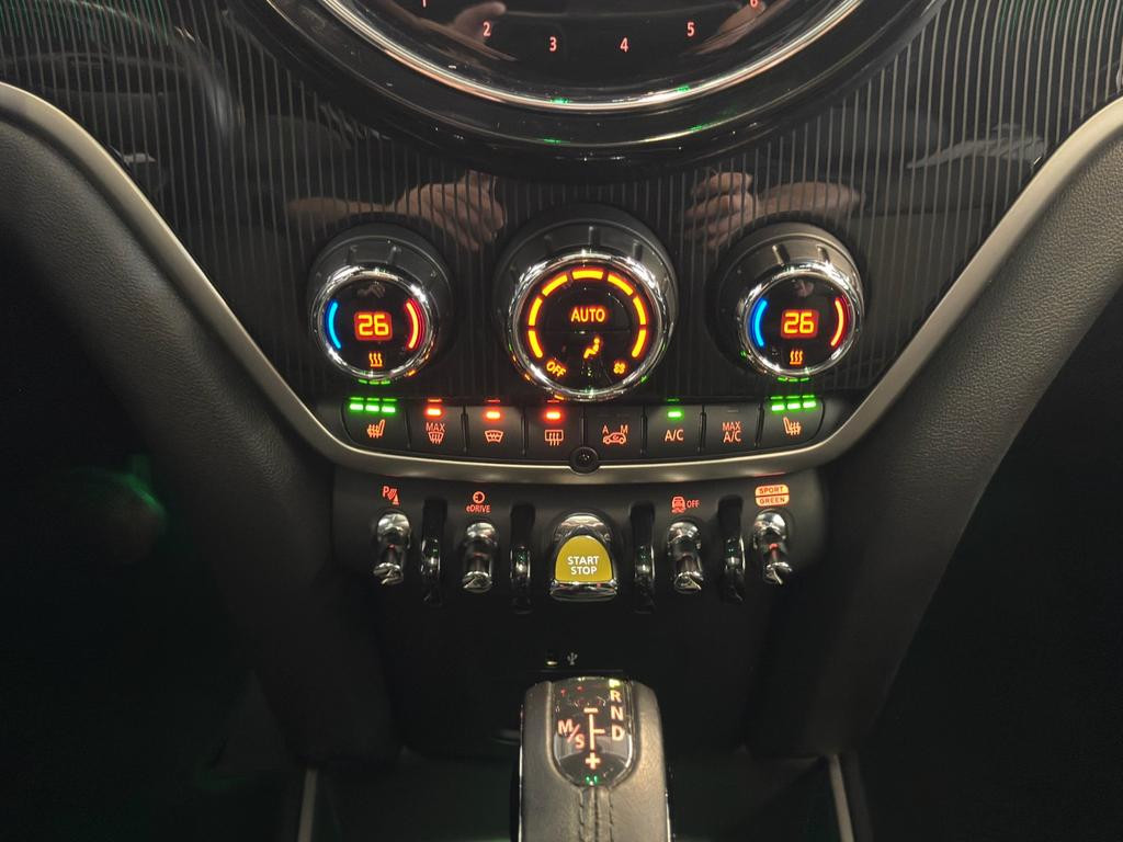 Mini Mini Electric