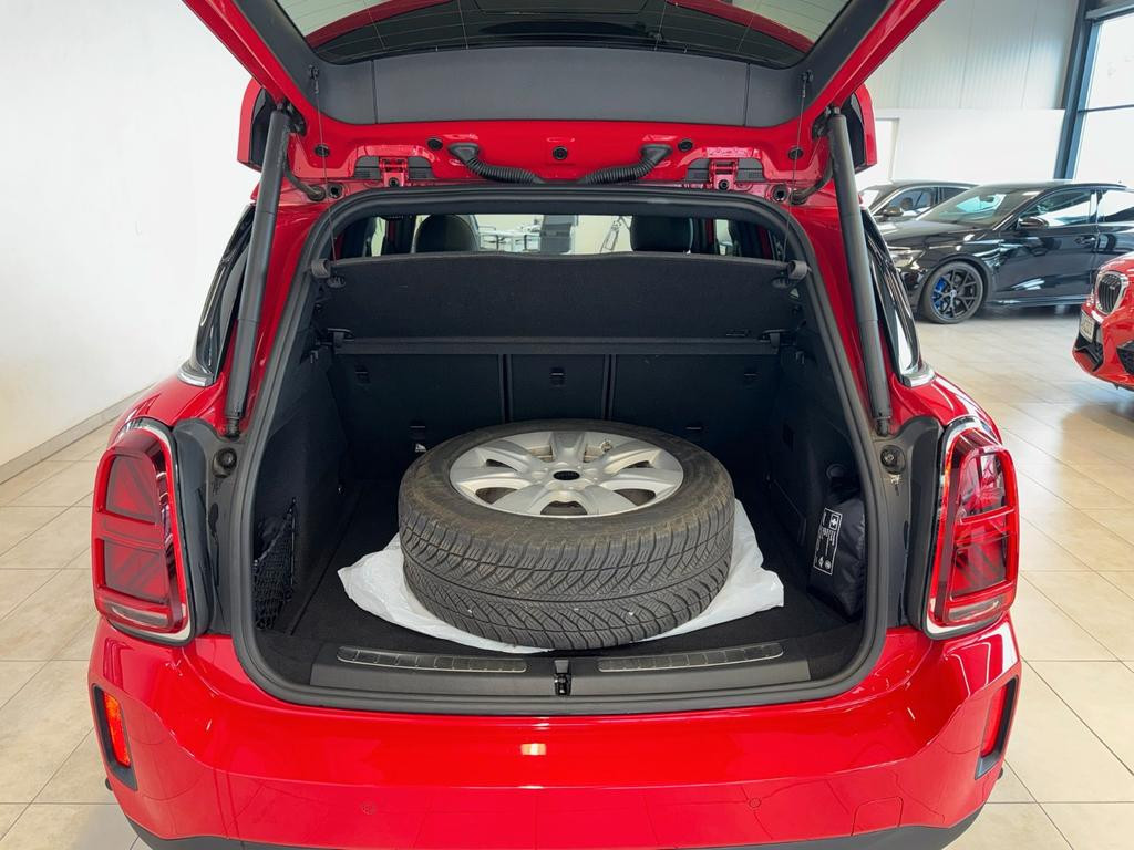 Mini Mini Electric