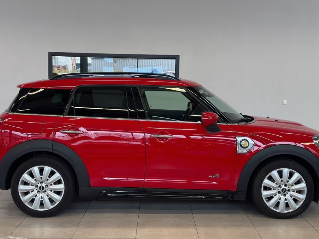Mini Mini Electric