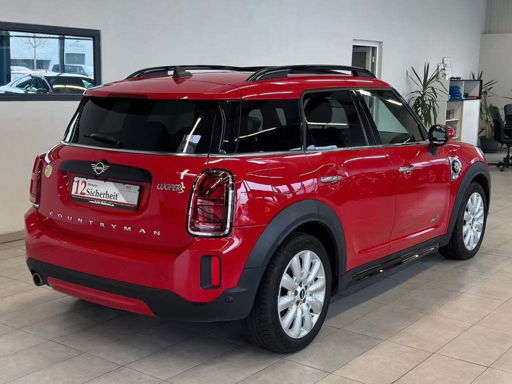 Mini Mini Electric