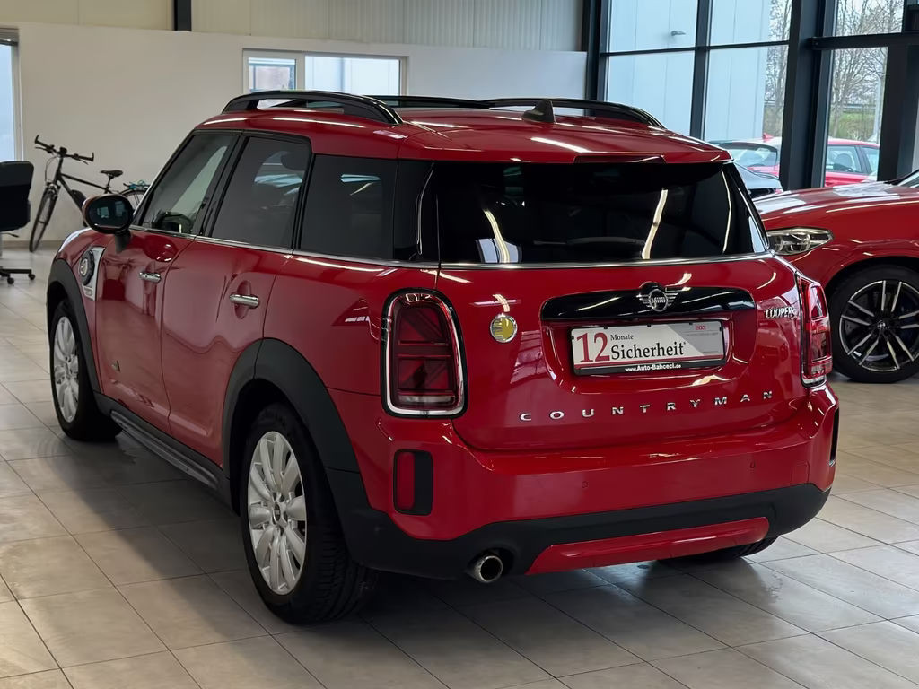 Mini Mini Electric