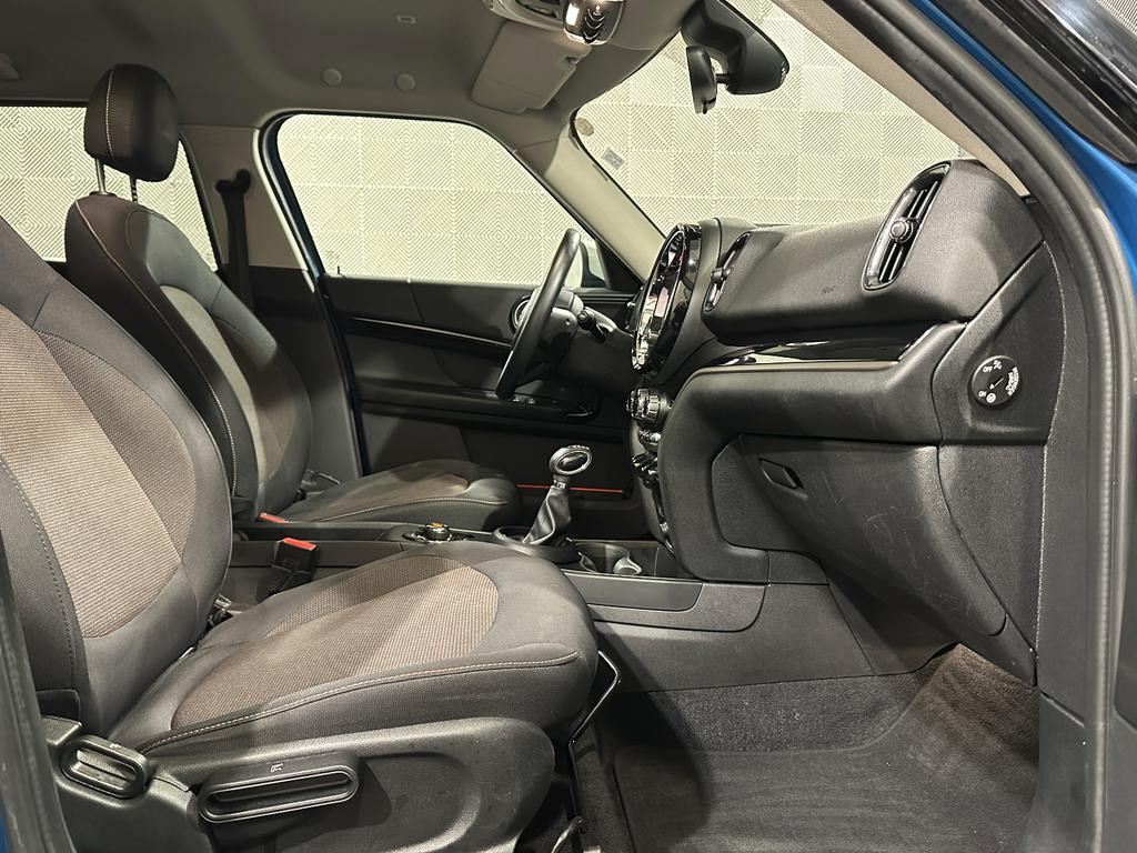 Mini Mini Electric