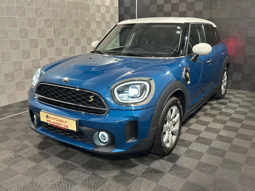 Mini Mini Electric
