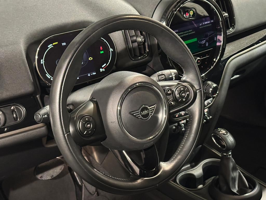 Mini Mini Electric
