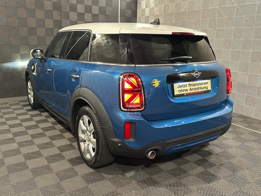 Mini Mini Electric