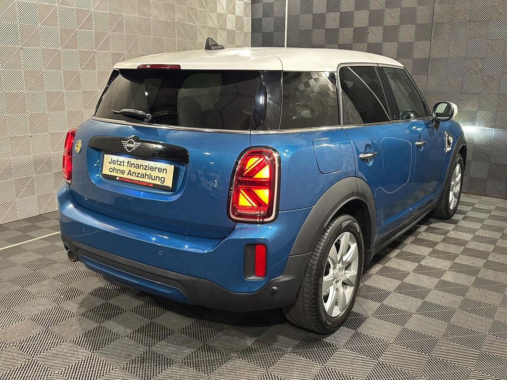 Mini Mini Electric