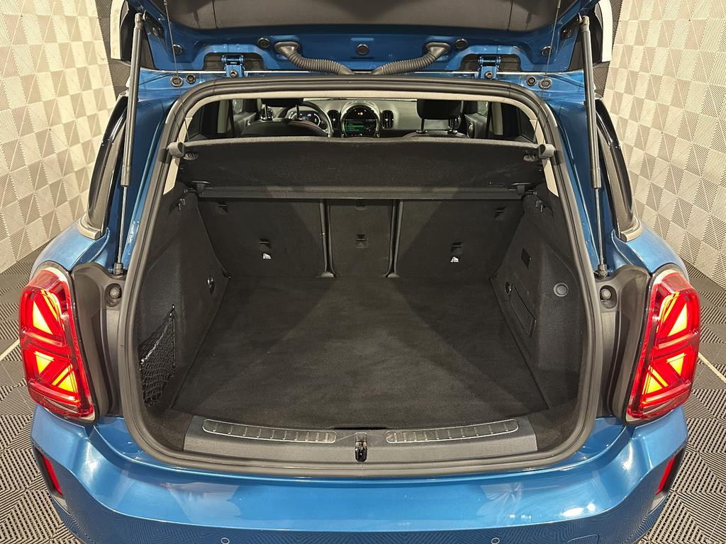 Mini Mini Electric