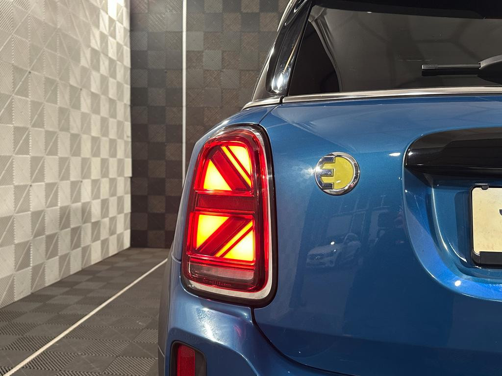 Mini Mini Electric