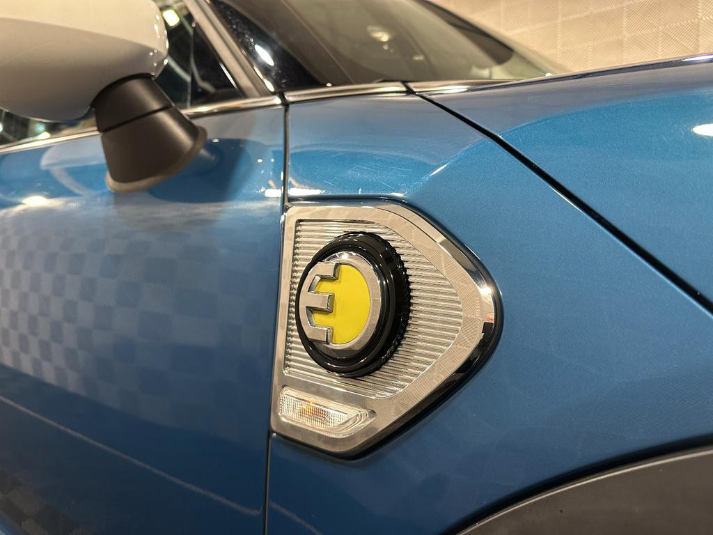 Mini Mini Electric