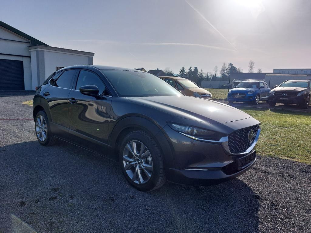 Mazda CX-30 /TopZustand/wenigKM/Navi/LED/Kamera/PDC/SHZ