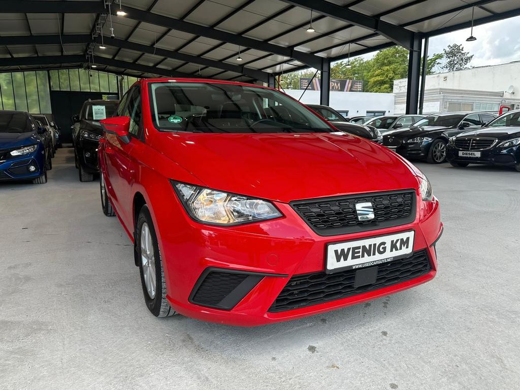 Seat Ibiza Style