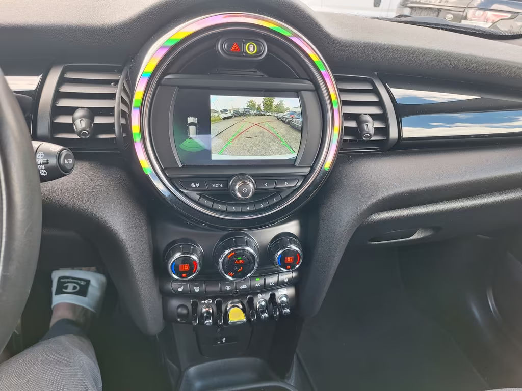 Mini Mini Electric