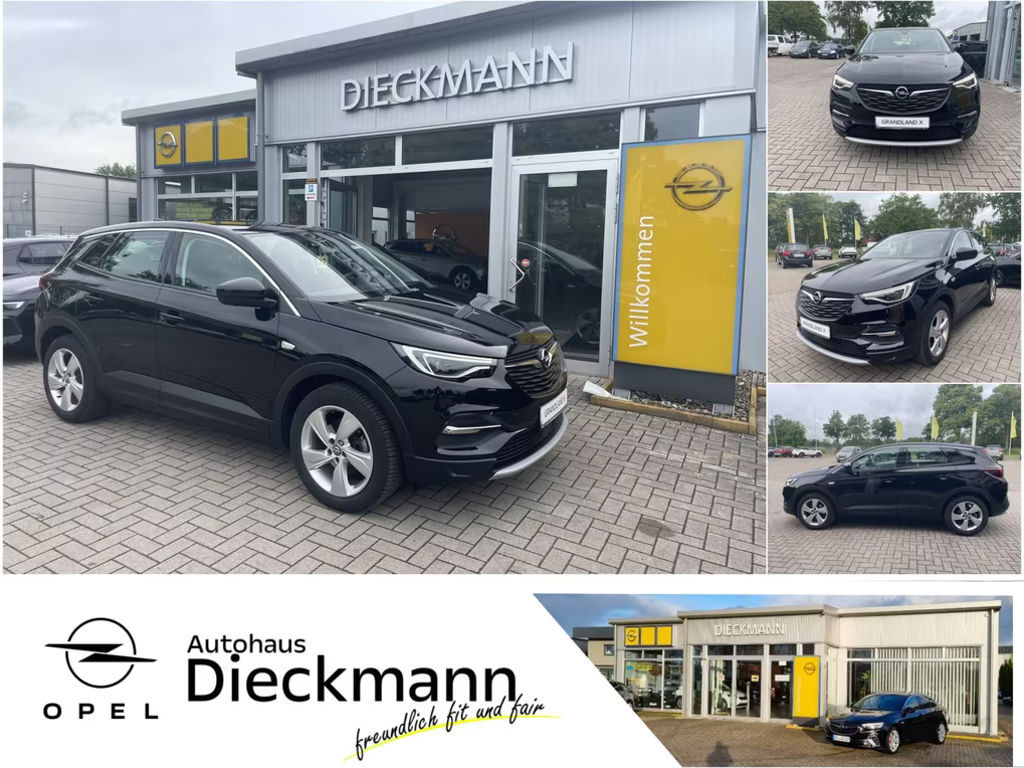 Opel Grandland X Grandland X INNOVATION Navi AHK SHZ RFK E-Heckkl