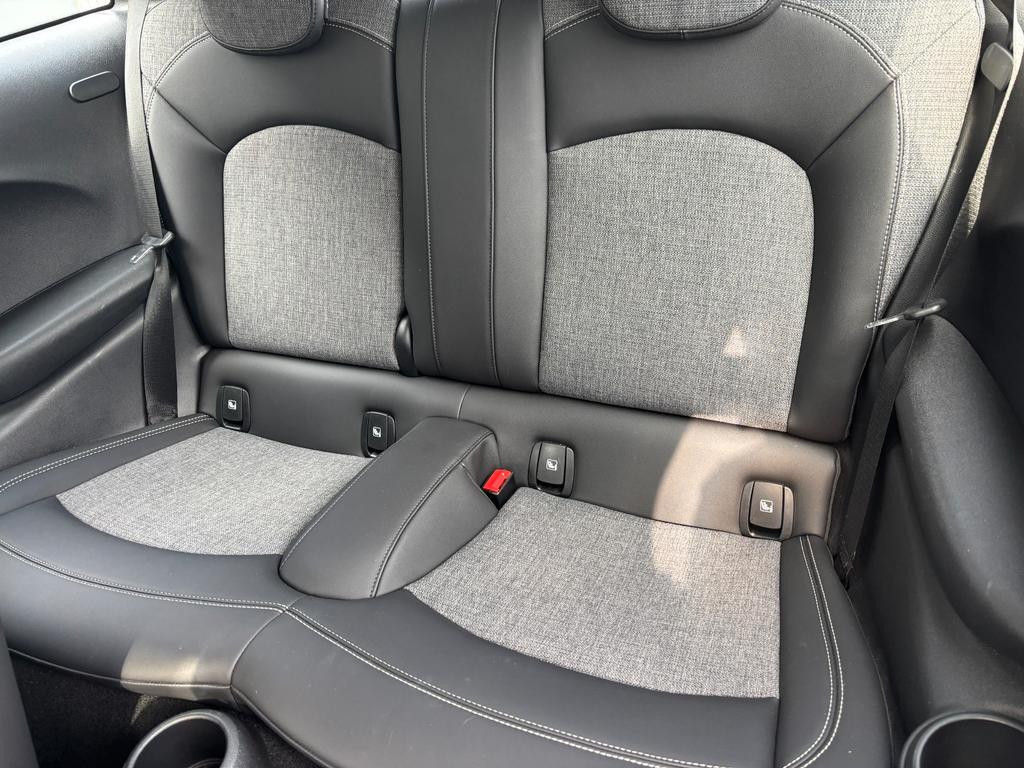 Mini Mini Electric