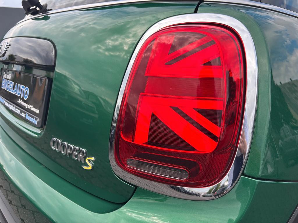 Mini Mini Electric