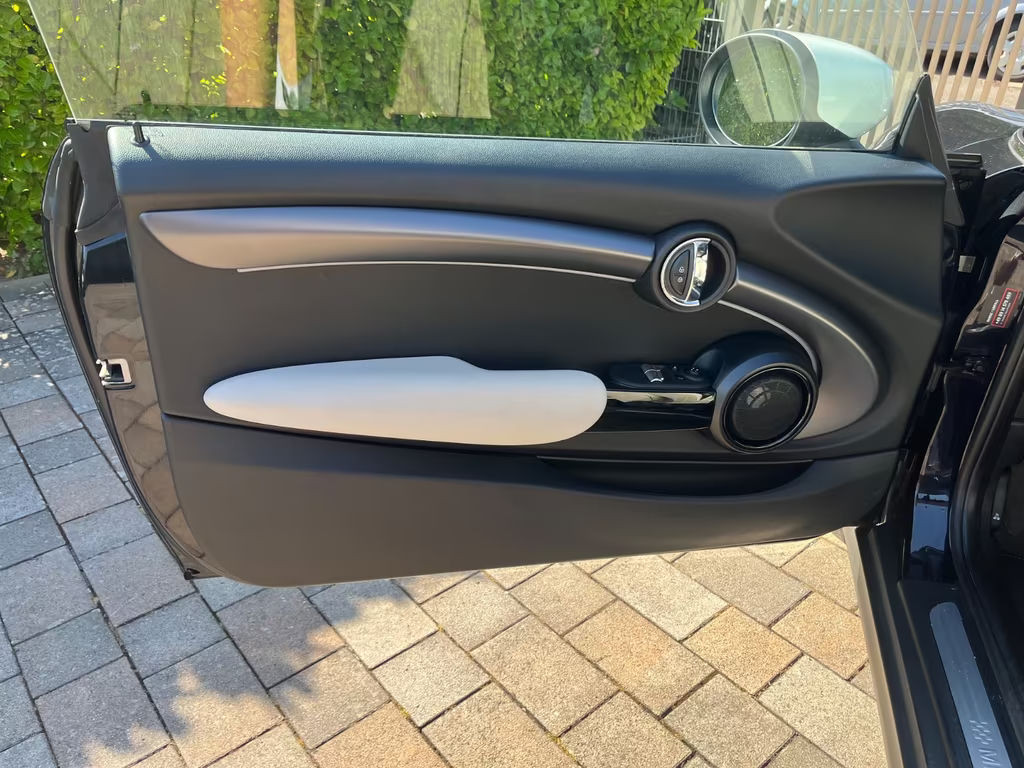 Mini Mini Electric