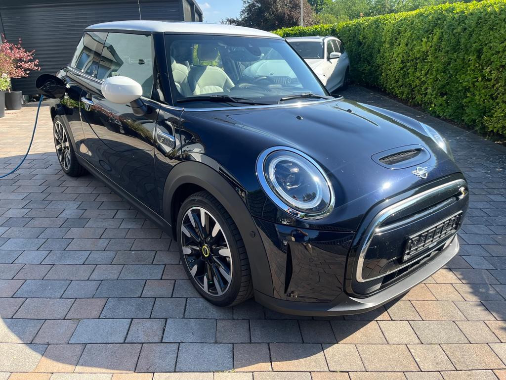 Mini Mini Electric