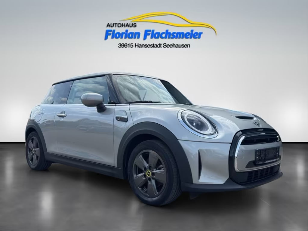 Mini Mini Electric