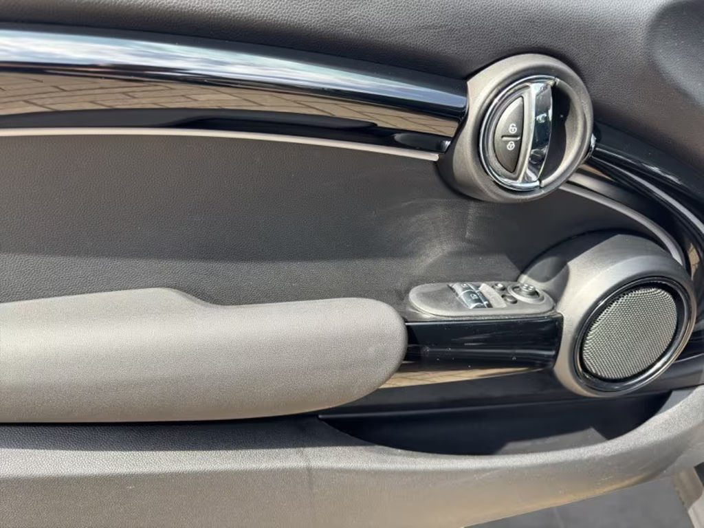 Mini Mini Electric