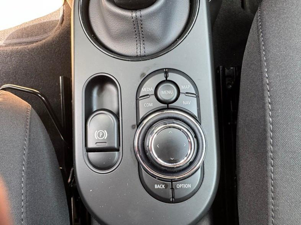 Mini Mini Electric