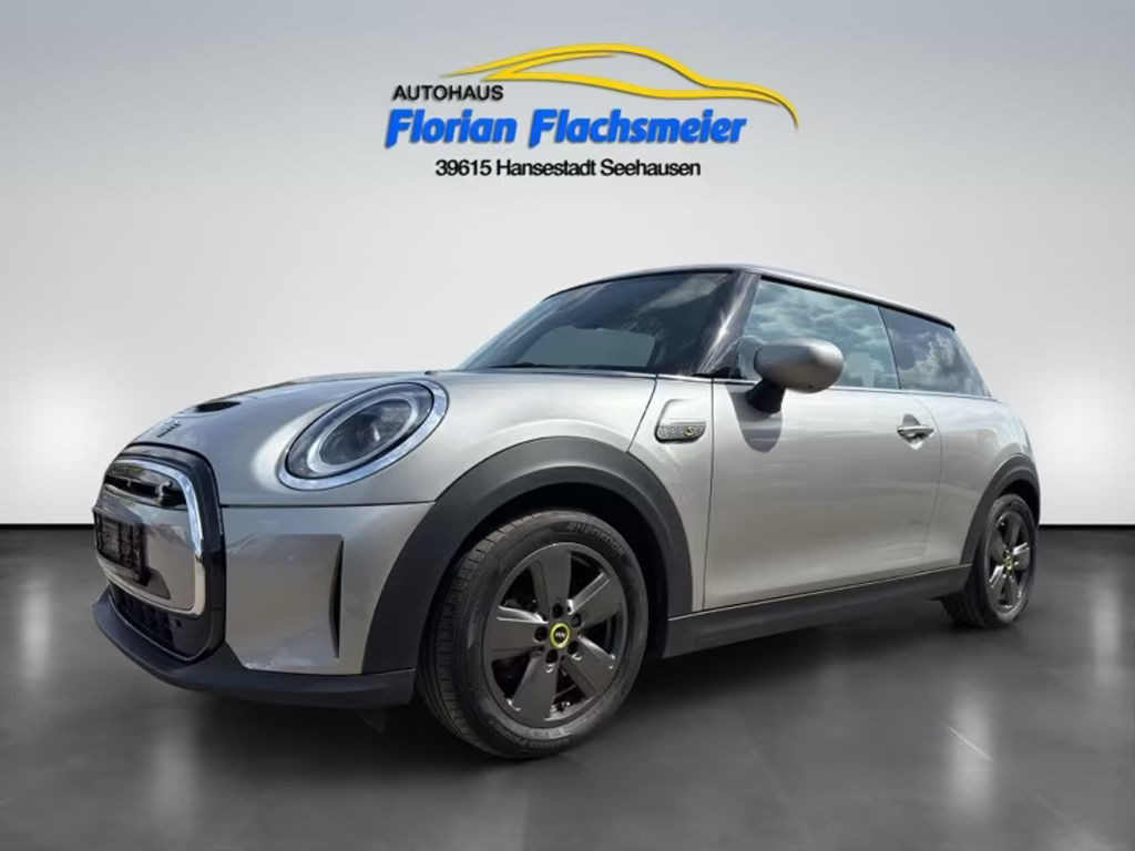 Mini Mini Electric