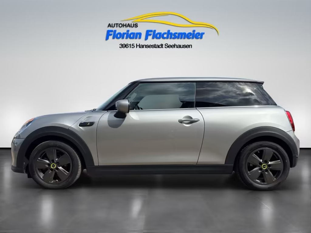 Mini Mini Electric