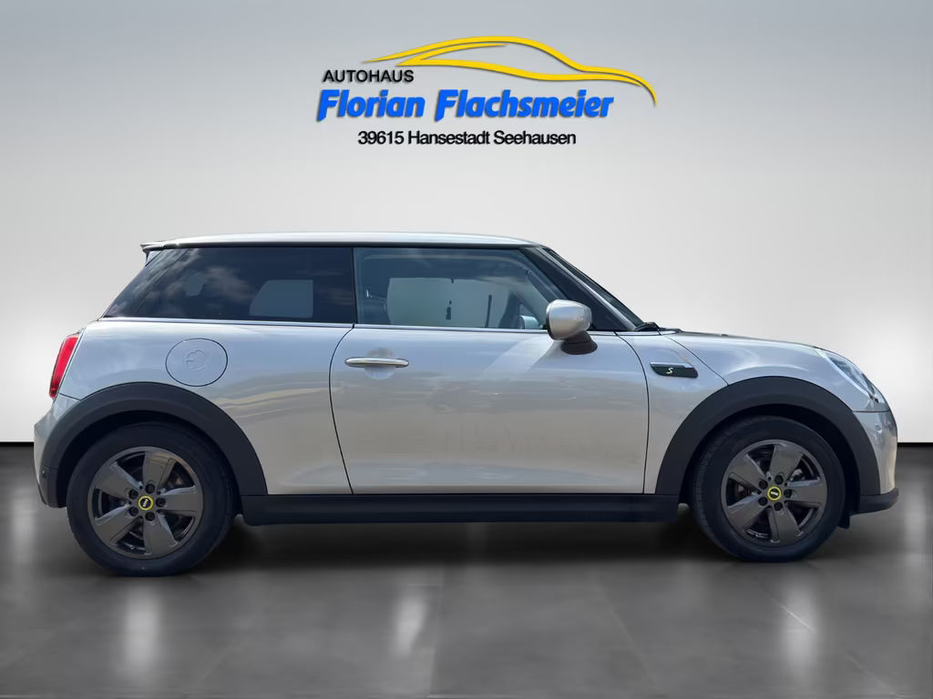 Mini Mini Electric