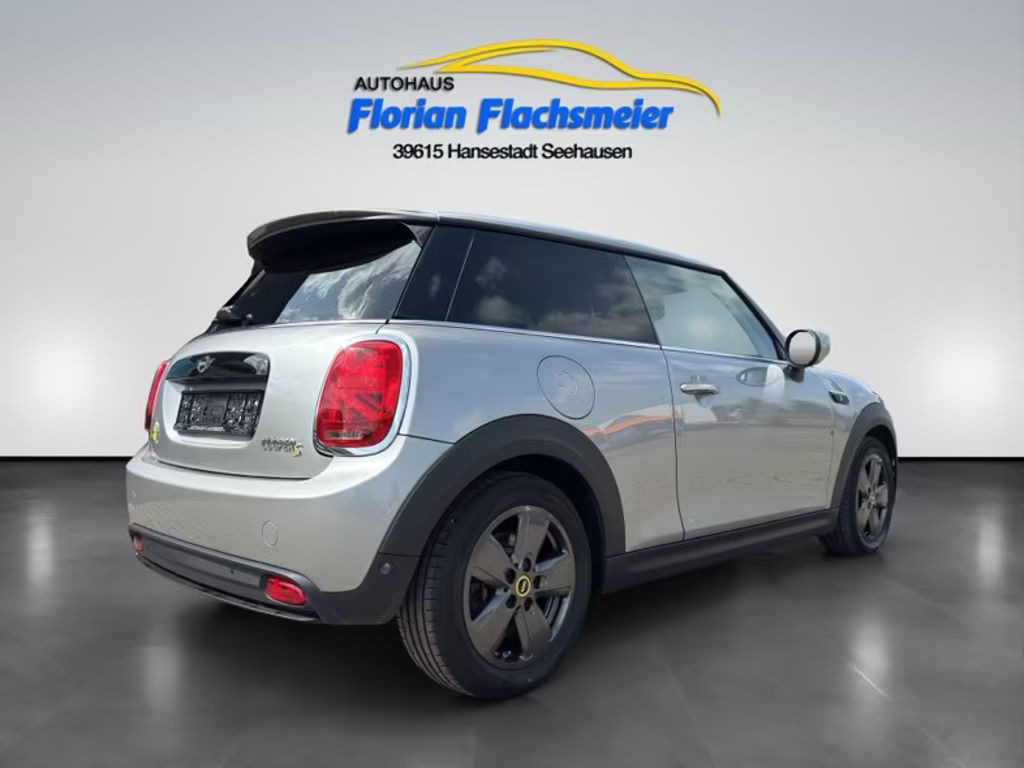 Mini Mini Electric