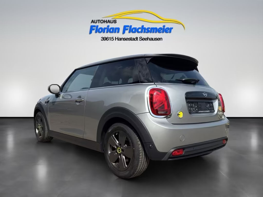 Mini Mini Electric