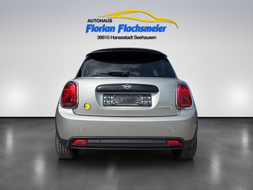 Mini Mini Electric