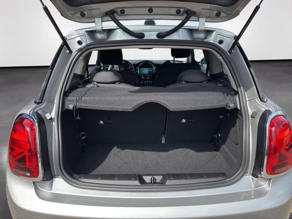 Mini Mini Electric