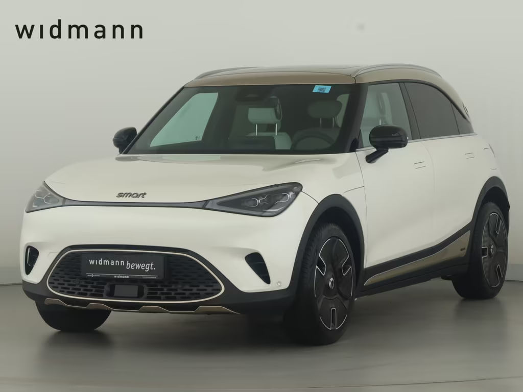 Smart #1 200 kW Launch Edition Matrix LED*Pano*Memory*
